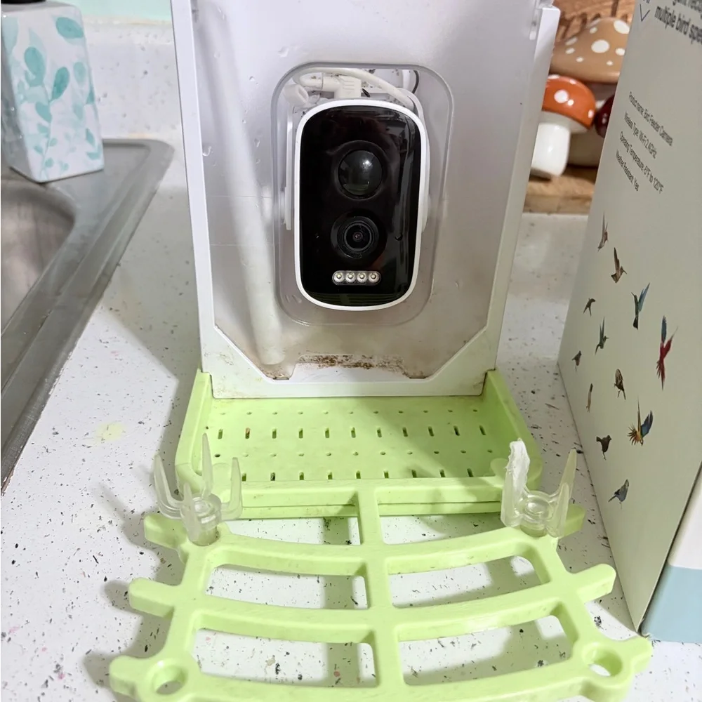 Smart Bird Feeder with AI Technology - White